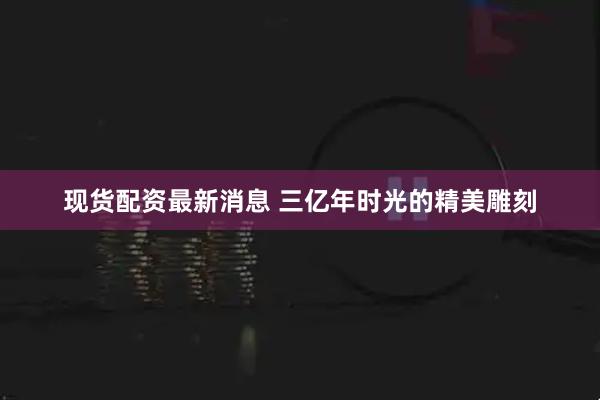 现货配资最新消息 三亿年时光的精美雕刻